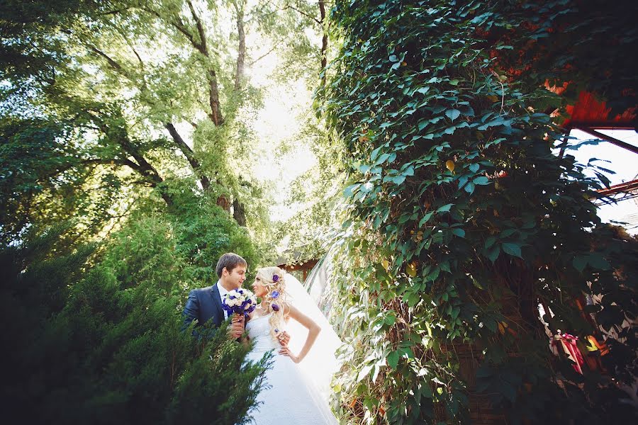 Fotógrafo de bodas Viktor Gubarev (allinclusive). Foto del 16 de febrero 2016