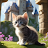 Cute Cat Wallpaper HD icon