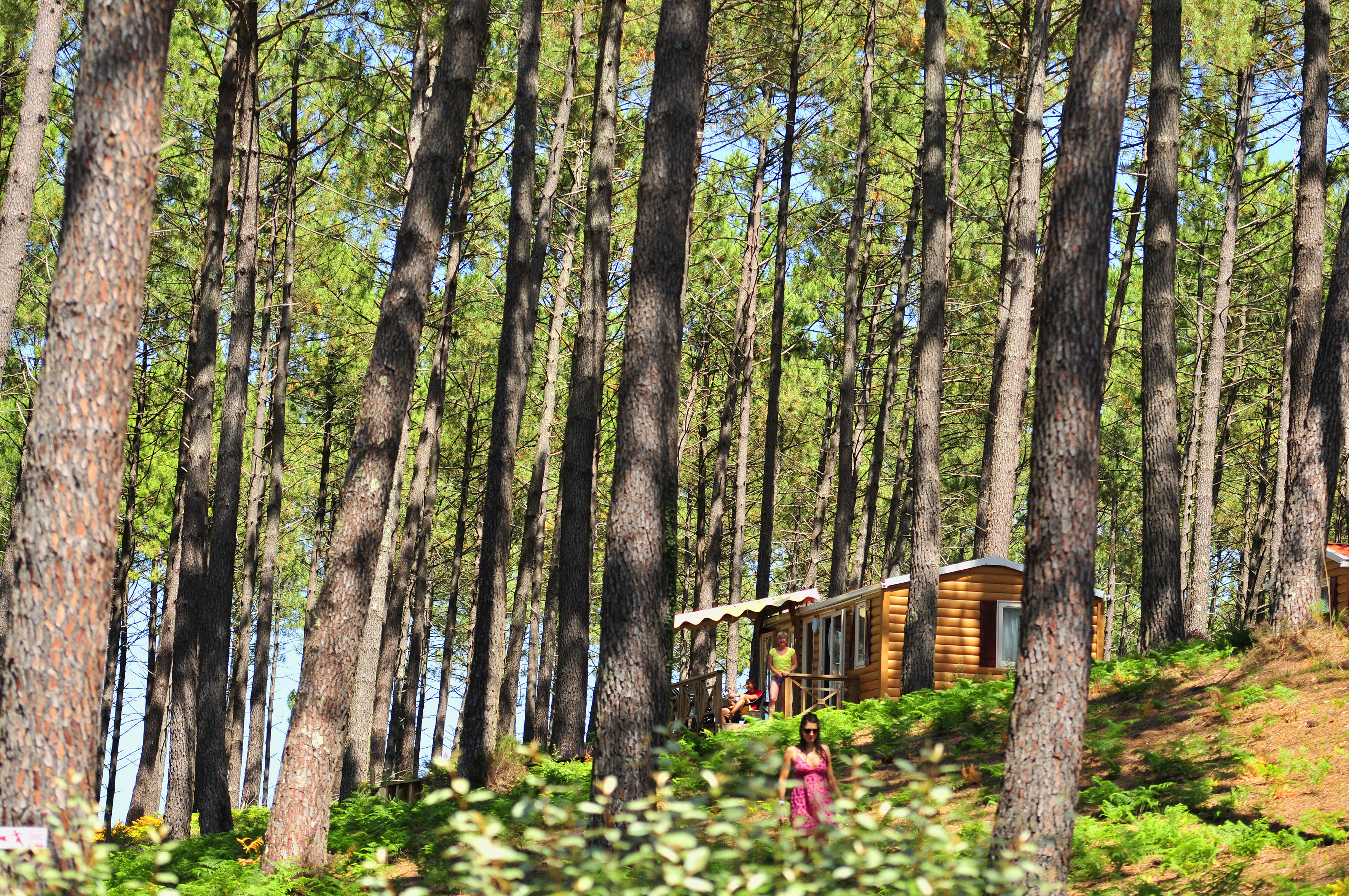 Camping Capfun - Landisland
