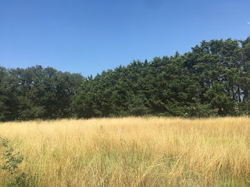 terrain à Labastide-d'Anjou (11)