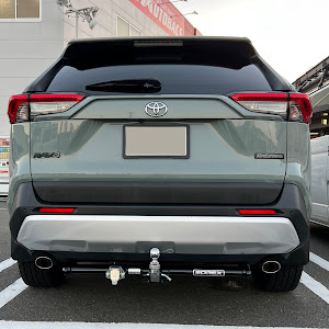 RAV4 AXAP54