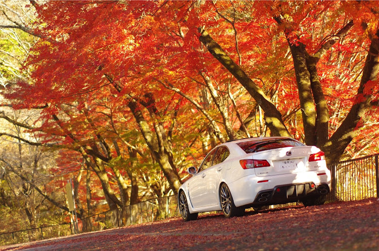 IS Fの紅葉・ドライブ・一眼レフに関するカスタム事例の投稿画像2枚目