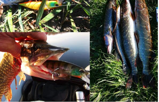 Title 13, ABS Engineering Plastic Thermal Model Fishing L...
