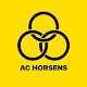 AC Horsens Download on Windows