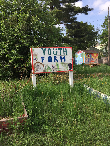 Youth Farm