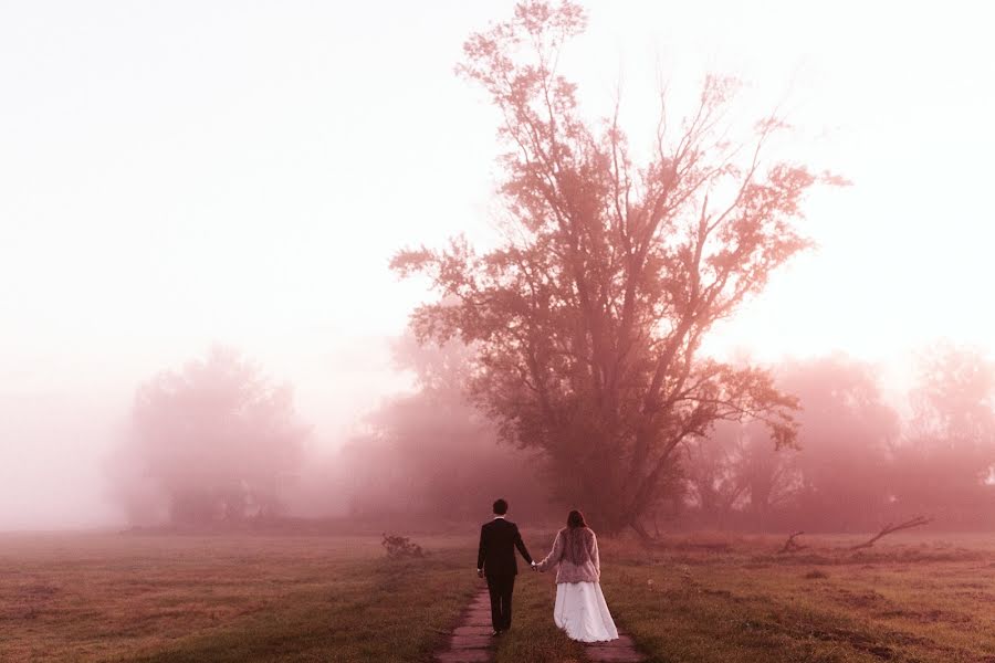 Fotografo di matrimoni Aleksandra Medvey Gruszka (olagruszka). Foto del 29 ottobre 2019