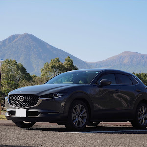 CX-30 DM8P