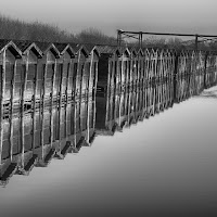 Riflessi in Laguna di 