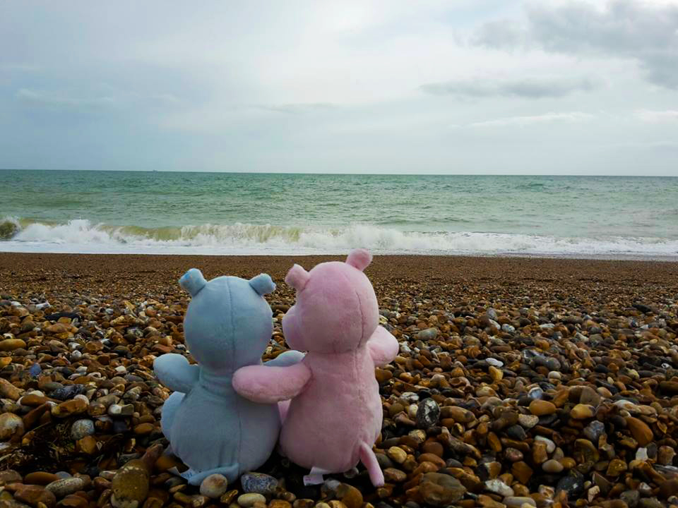 Hippos look at the sea di marcocalvetta