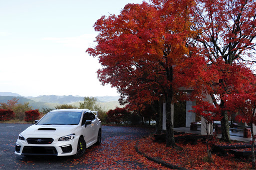 Wrx Sti の紅葉 高野龍神スカイライン 一眼に関するカスタム メンテナンスの投稿画像 車のカスタム情報はcartune