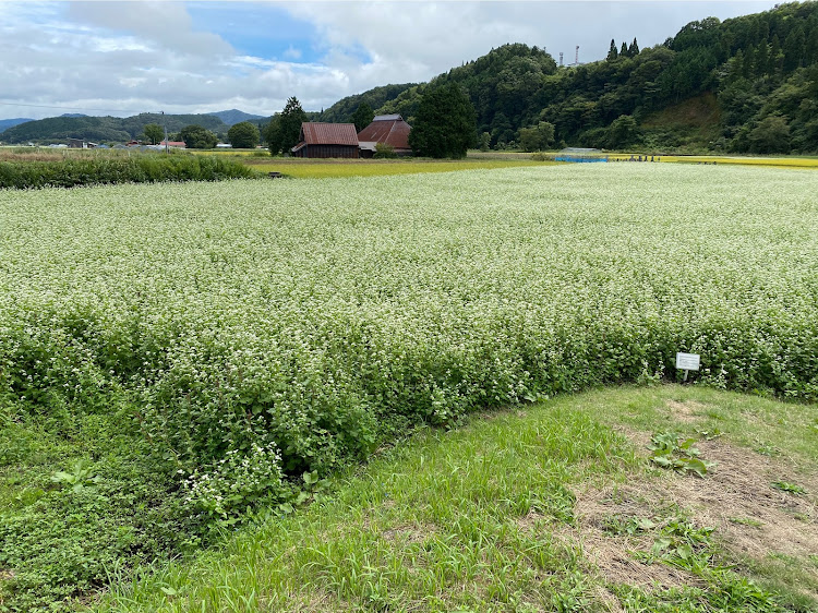 の投稿画像1枚目