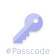 Passcode  icon