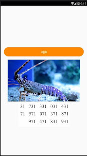 Animal Number Lottery(圖4)-速報App