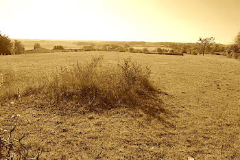 terrain à Chevanceaux (17)