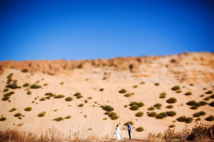 Wedding photographer Anastasiya Beloglazova (abeloglazova). Photo of 13 January 2016