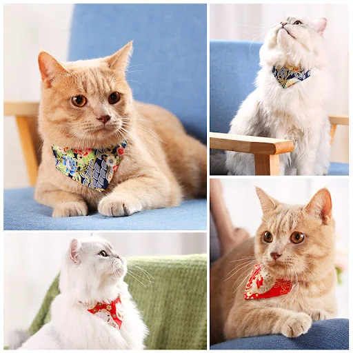 images slider number - 3