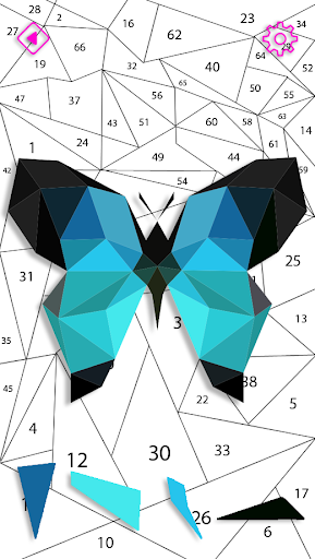 Butterfly Polygon Puzzle By Number