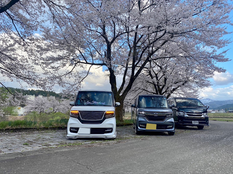 Nボックスカスタムの桜とコラボ・目指せPickUpCars・サクラと愛車・ステルスレーシングK35・ＮBOXカスタムに関するカスタム事例の投稿画像2枚目