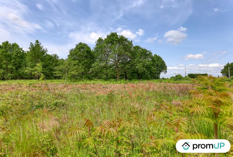  Vente Terrain à bâtir - à Saint-Philbert-du-Peuple (49160) 