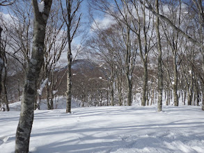 県境と横山岳分岐（左に県境稜線）