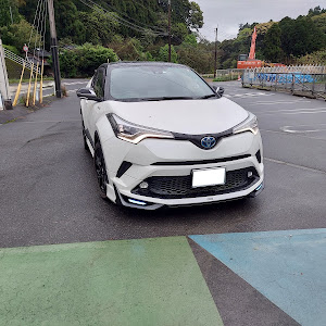 C-HR ZYX10