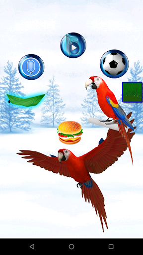 Screenshot Talking Parrot 2