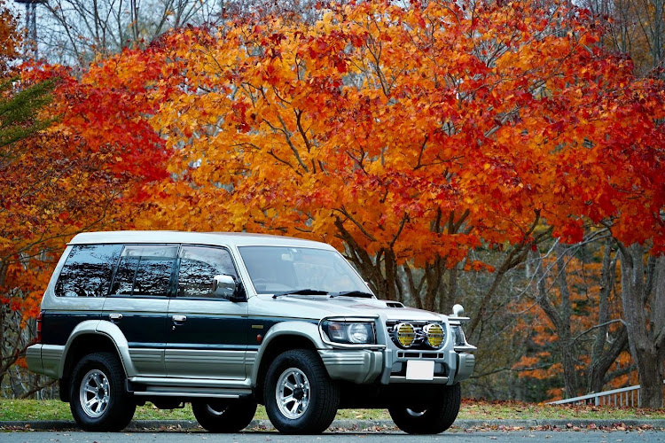 パジェロのカメ活・α7RⅡ・35mm単焦点レンズ・ズームレンズ・紅葉と愛車に関するカスタム事例の投稿画像1枚目