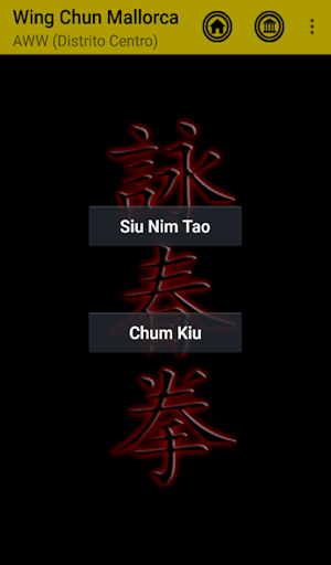 Wing Chun A.W.W. Mallorca Distrito Centro