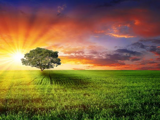 Nature Sunshine Wallpapers