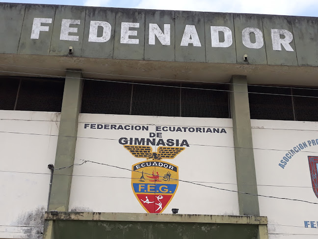 FEDERACION ECUATORIANA DE GIMNASIA - Gimnasio