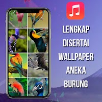 Suara Burung Derkuku Pikat Screenshot