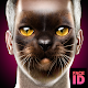 What are you cat face id scanner prank