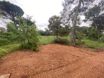 terrain à Le Cannet-des-Maures (83)