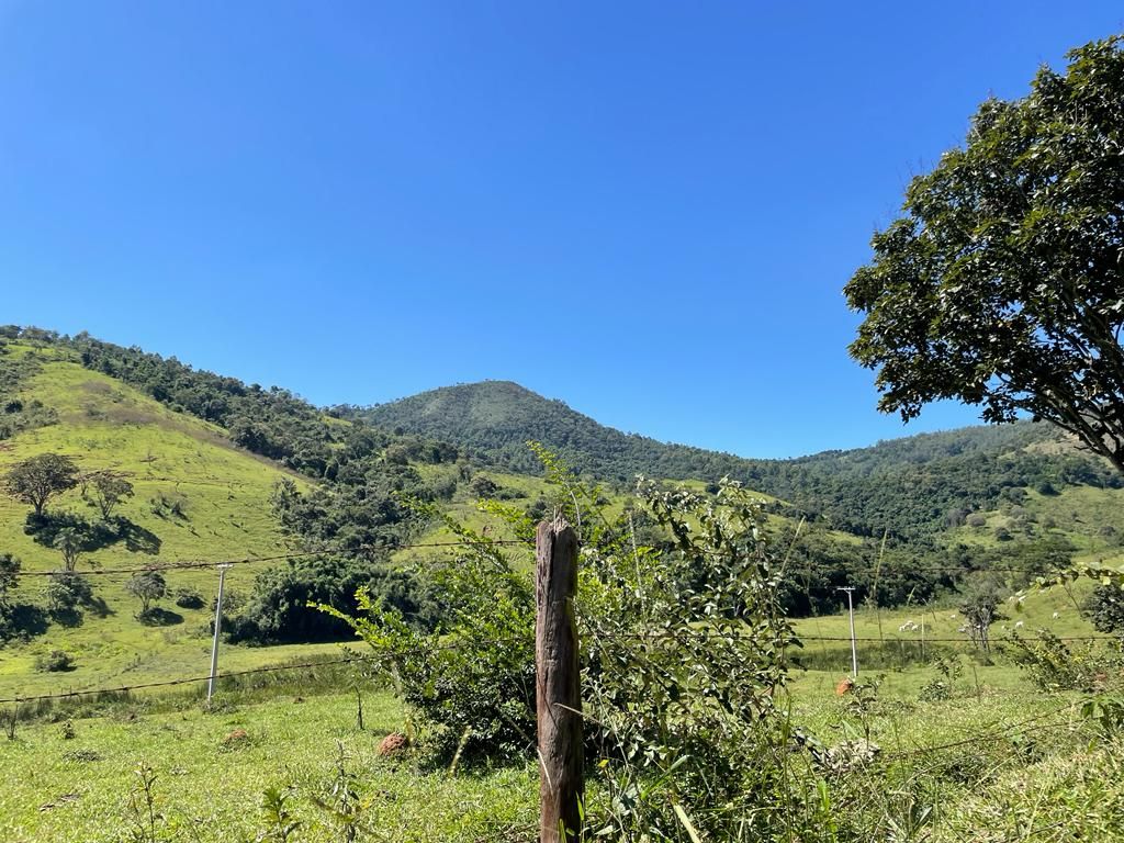 Fazendas à venda Ponte Nova