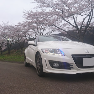 CR-Z ZF1