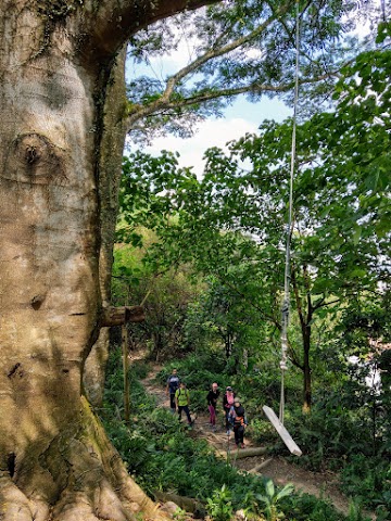 Bukit Sri Bintang tree swing