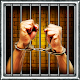 21 Free New Escape Games - survival of prison