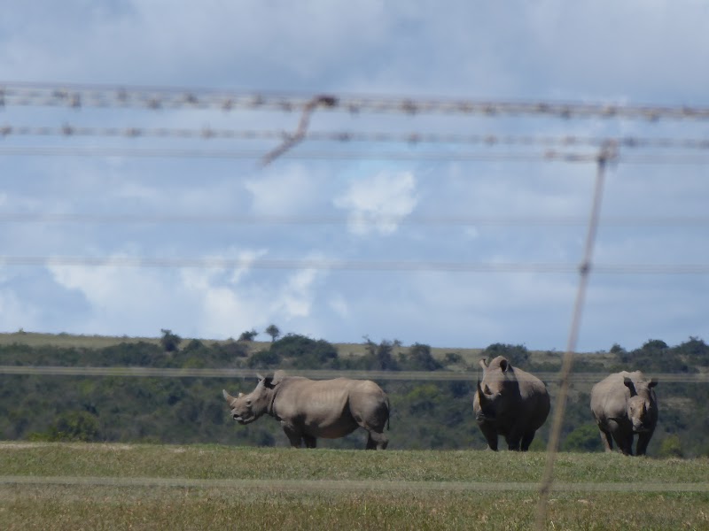 DE CAMINO A LA RESERVA NACIONAL DE SAMBURU - Un poquito de Kenia: Lagos Naivasha y Nakuru, Samburu y Masai Mara (7)