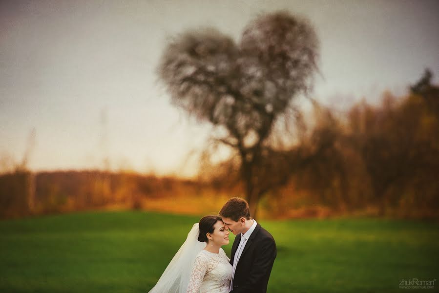 Wedding photographer Roman Zhuk (photozhuk). Photo of 11 March 2014