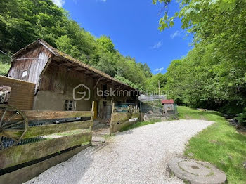 moulin à Geishouse (68)