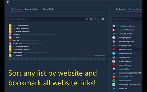 Pin: History, Bookmarks & Tabs Manager