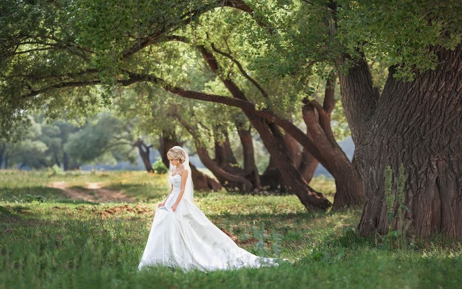 Wedding photographer Nikolay Shemarov (schemarov). Photo of 29 June 2013