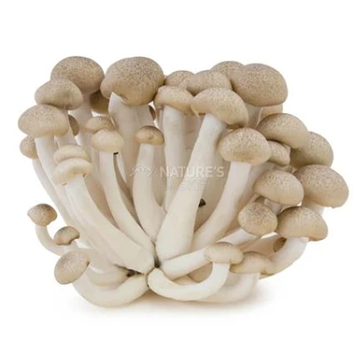 Shimeji Mushroom - Exotic - 300 gm