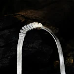 White Gold Color
