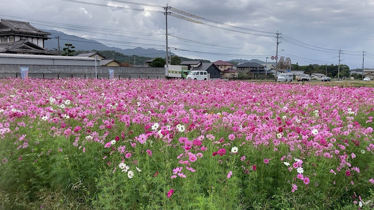 の投稿画像8枚目