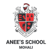 Anees SchoolMohali