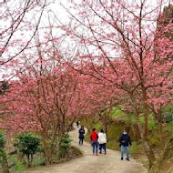 山上人家森林農場