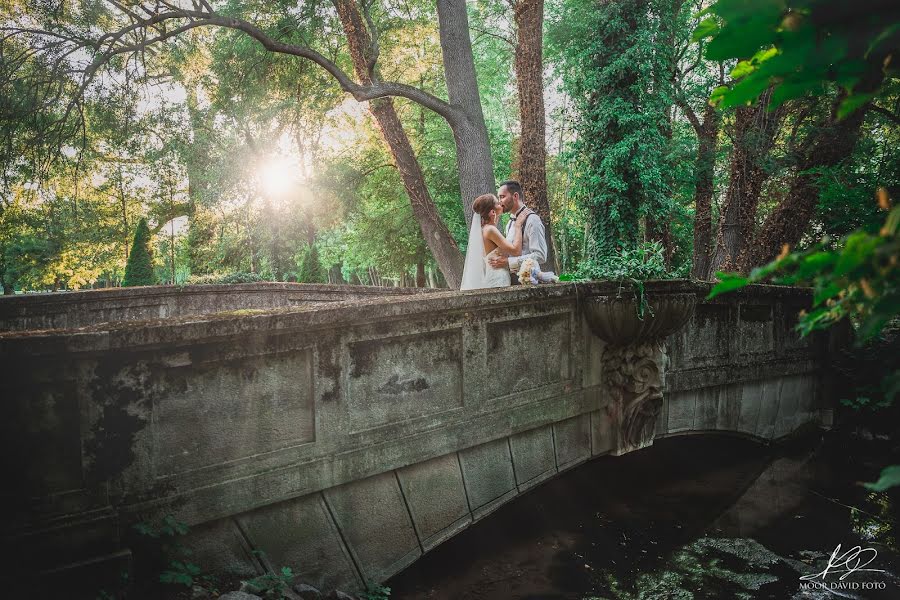 Fotografo di matrimoni Dávid Moór (moordavid). Foto del 5 settembre 2017