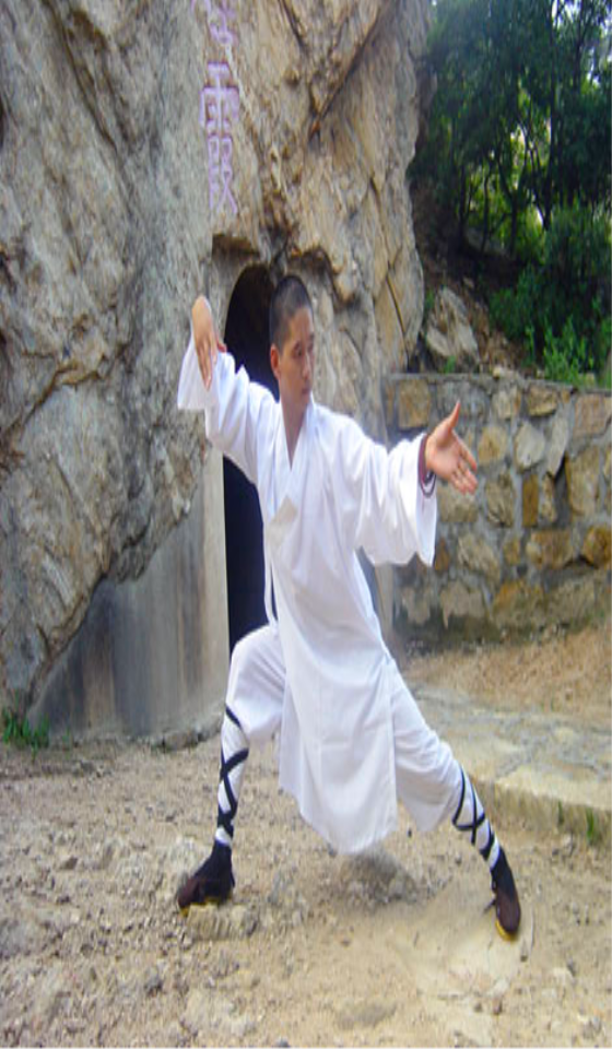 Learn Tai Chi Screen 3
