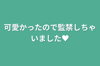 可愛かったので監禁しちゃいました♥